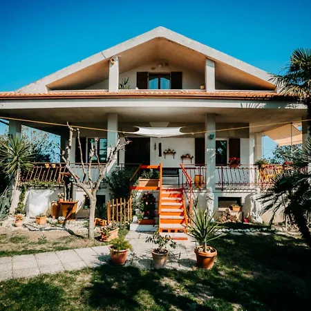 L'isola Che Non C'e * 세니갈리아