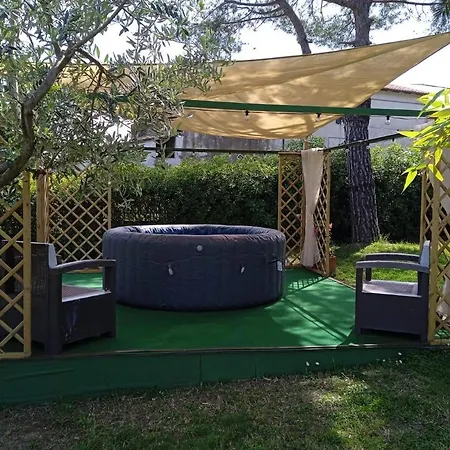 L'isola Che Non C'e * 세니갈리아