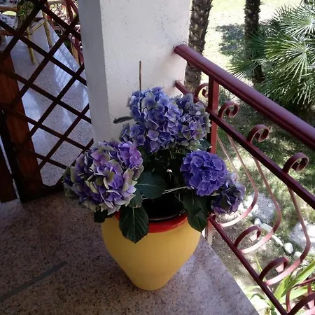 L'isola Che Non C'e Holiday home